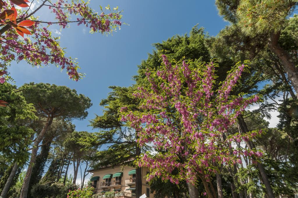 Hotel Kursaal Passignano sul Trasimeno Ngoại thất bức ảnh